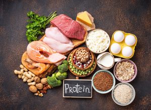 Ilustrasikan fungsi protein